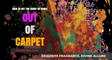 Effective Ways to Remove Vomit Smell from Your Carpet Fast