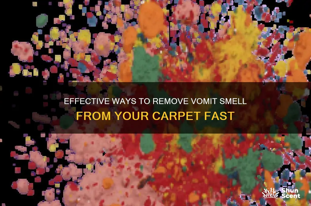 how to get the scent of vomit out of carpet