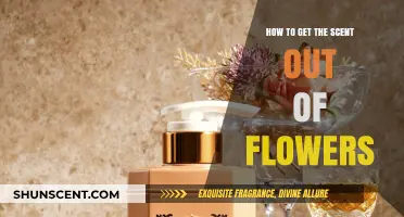 Freshen Your Space: Effective Ways to Extract Flower Scents Naturally