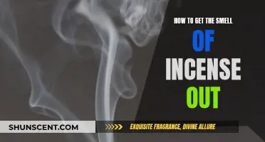 Incense Odor Removal: Quick and Easy Solutions