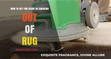Effective Ways to Remove Gasoline Smell from Your Rug
