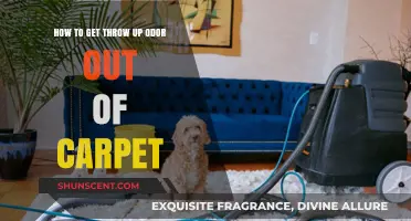Effective Methods to Eliminate Vomiting Smell from Your Carpet