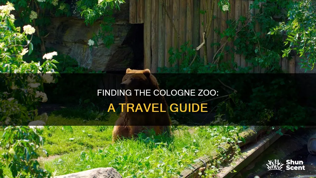 how to get to cologne zoo