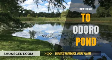 Exploring Odoro Pond: A Comprehensive Guide to Getting There