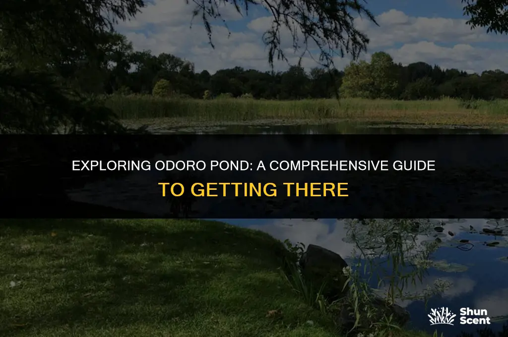 how to get to odoro pond