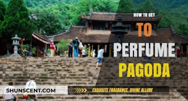 Exploring Perfume Pagoda: A Guide to Getting There
