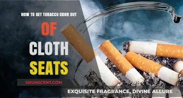 Freshen Up: Removing Tobacco Odor from Cloth Car Seats