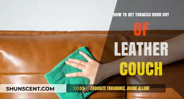 Freshen Up Your Leather Couch: Removing Tobacco Odor Effectively