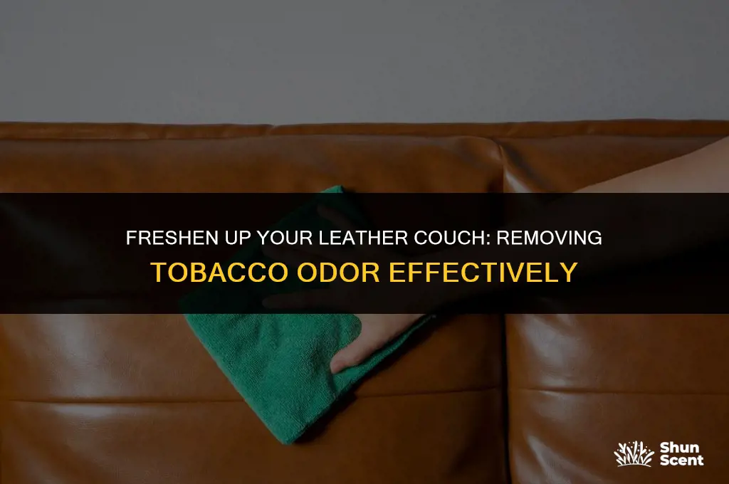 how to get tobacco odor out of leather couch