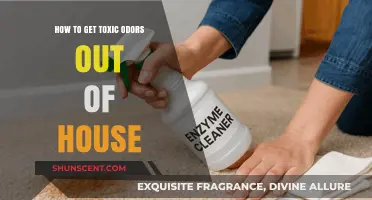 Banishing Toxic Odors: A Comprehensive Guide to Freshening Your Home