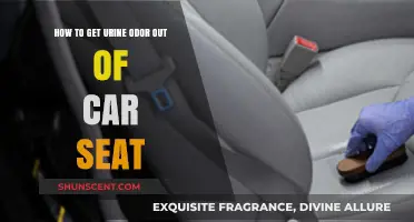 Effective Tips to Eliminate Urine Odor from Your Car Seat