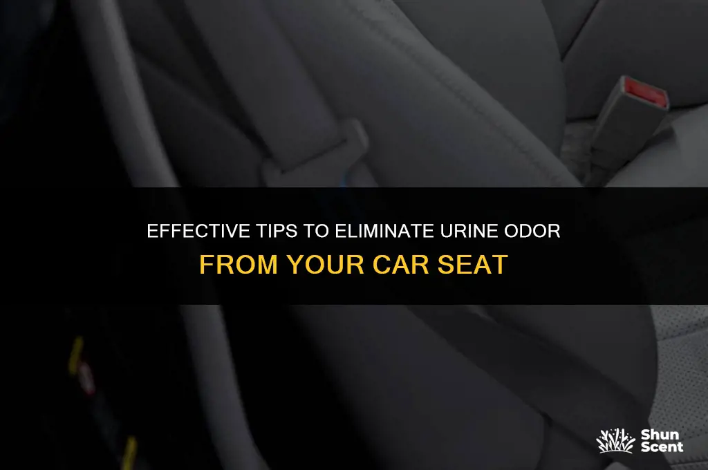 how to get urine odor out of car seat