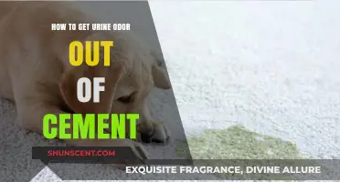 Effective Methods to Eliminate Urine Odor from Cement Surfaces