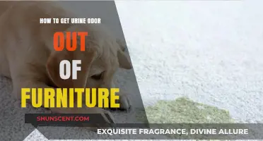 Freshen Up Your Furniture: A Guide to Removing Urine Odor
