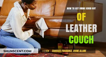 Eliminating Urine Odor from Leather Couches: A Comprehensive Guide