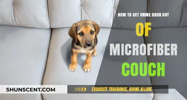 Freshen Up Your Microfiber Couch: A Guide to Removing Urine Odor