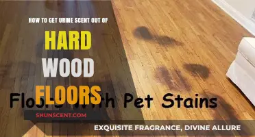 Effective Ways to Remove Urine Smell from Hardwood Floors