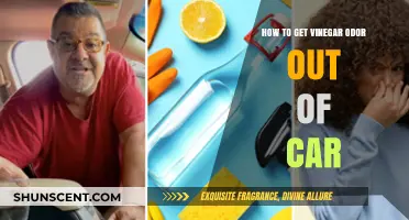 Eliminate Vinegar Odor from Your Car: A Comprehensive Guide
