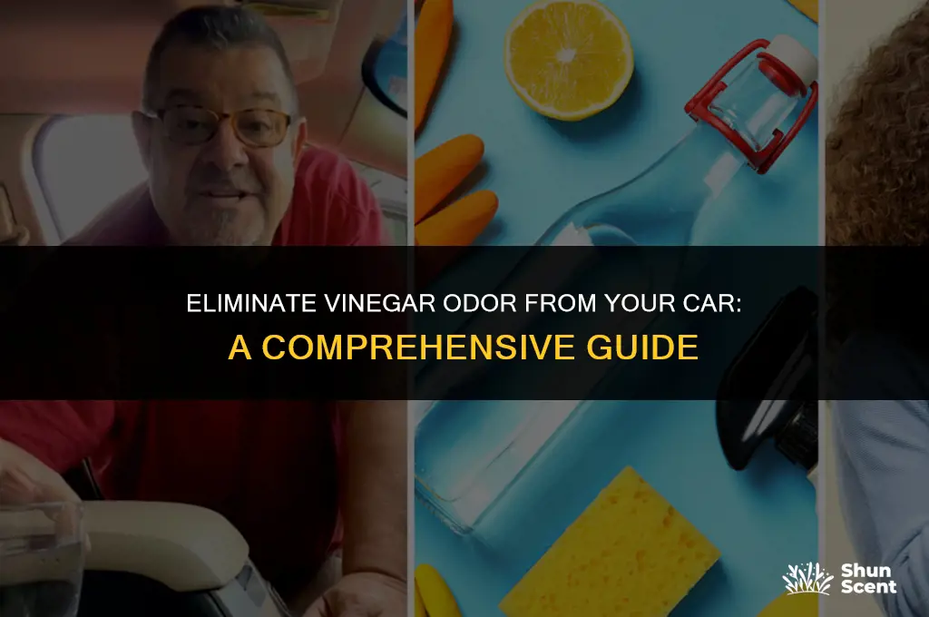 how to get vinegar odor out of car