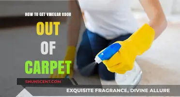 Eliminate Vinegar Smell from Your Carpet: A Comprehensive Guide