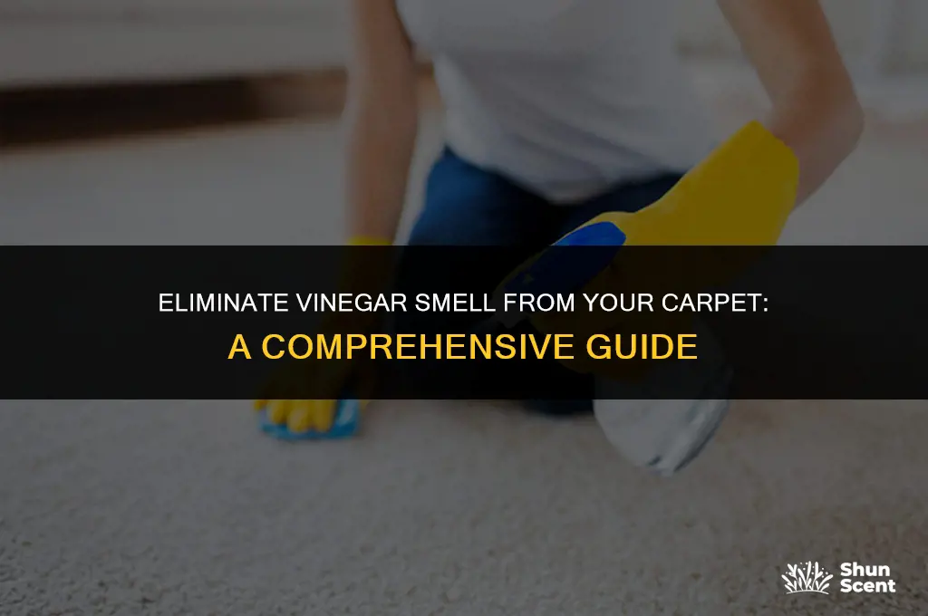 how to get vinegar odor out of carpet