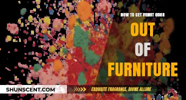 Freshen Up Your Furniture: A Guide to Removing Vomit Odor