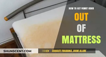 Freshen Up Your Mattress: A Guide to Removing Vomit Odor