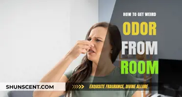 Banishing Bizarre Smells: A Guide to Freshening Your Space
