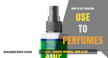Make Your Dog Comfortable With Perfumes