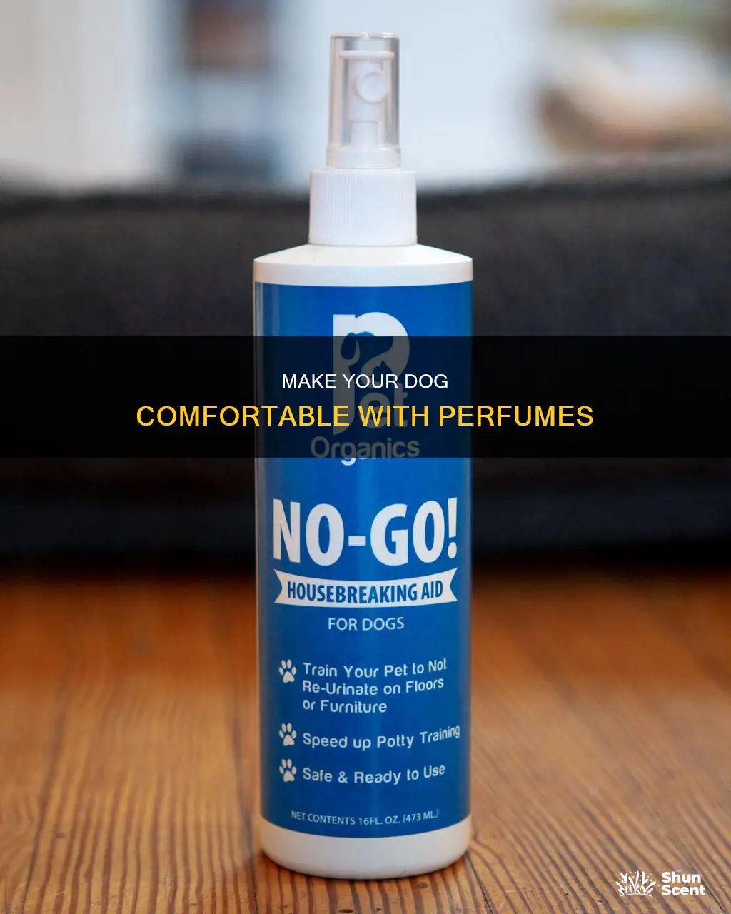 how to get your dog use to perfumes