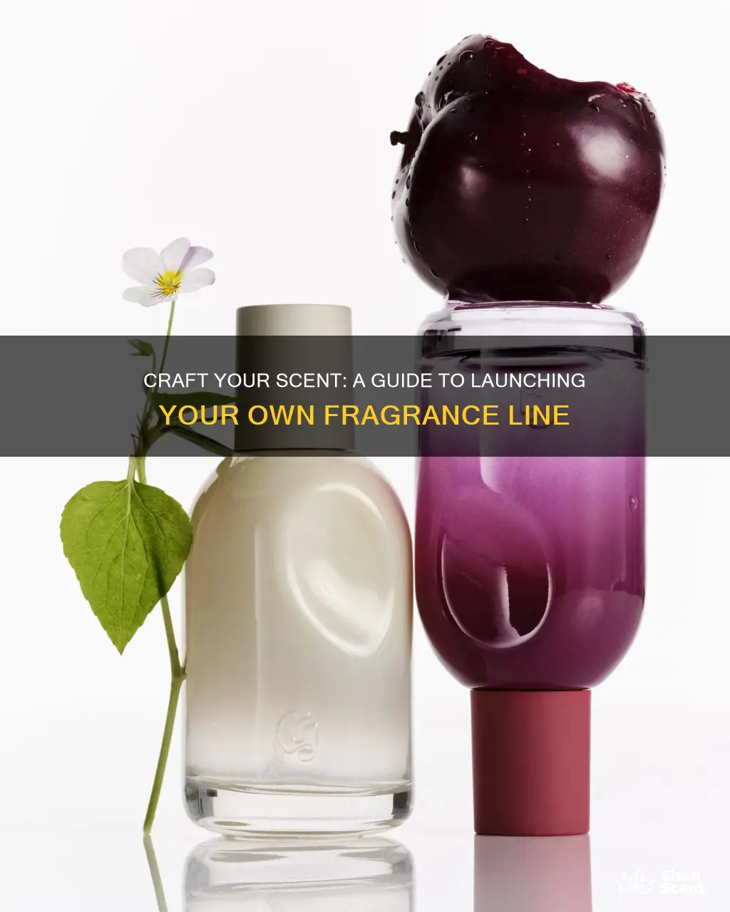 how to get your own fragrance line