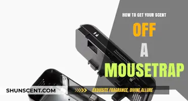 Effective Tips to Remove Your Scent from Mousetraps for Better Results