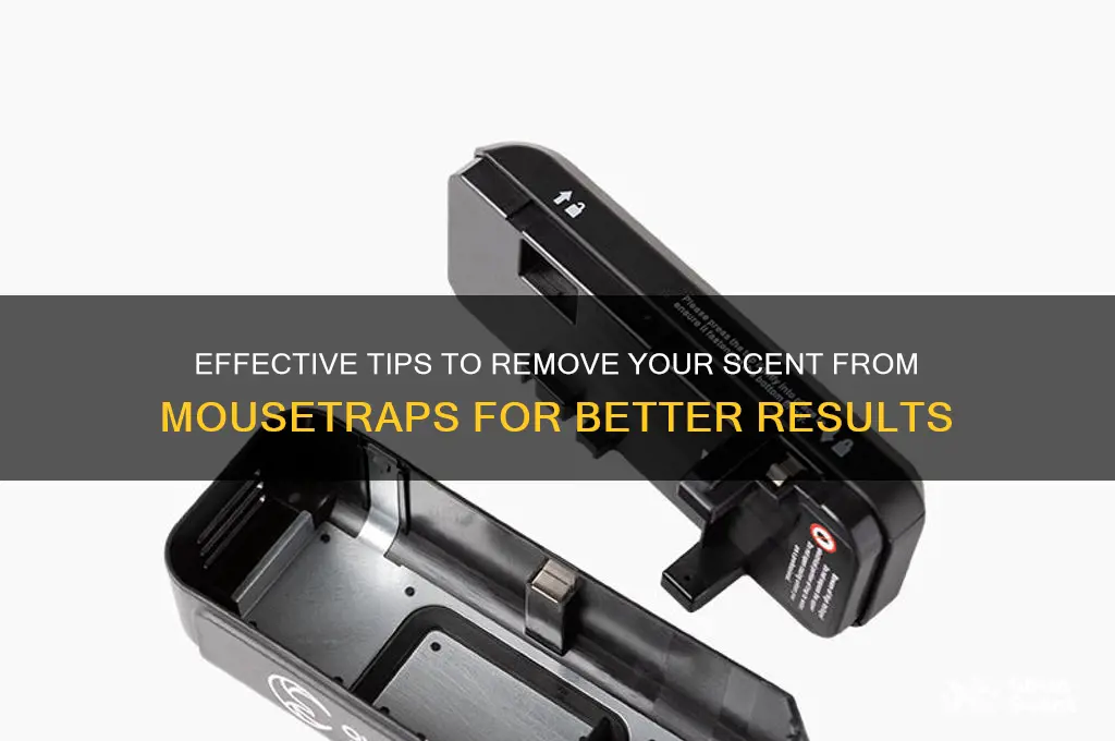 how to get your scent off a mousetrap