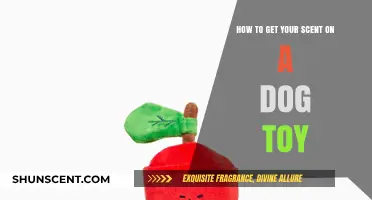 Infuse Your Scent on Dog Toys: A Simple Bonding Guide