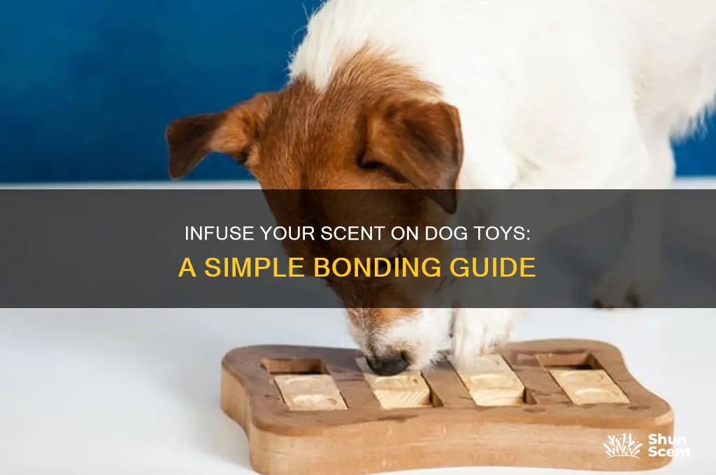 how to get your scent on a dog toy