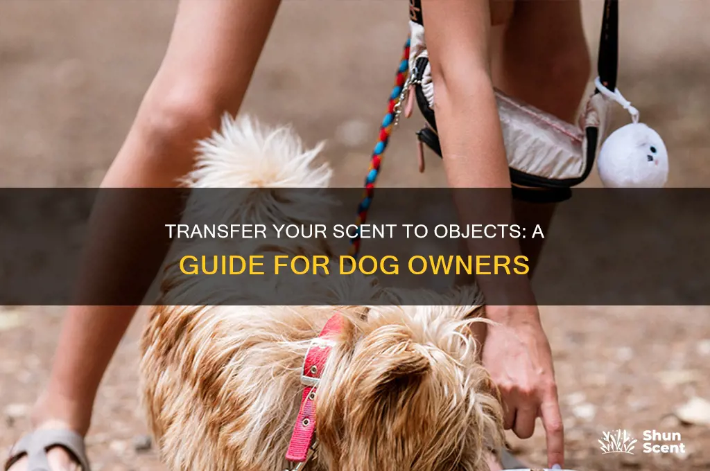how to get your scent on something for a dog