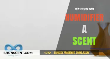 Infuse Your Humidifier with Aromatic Scents: Simple DIY Tips