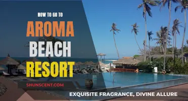 A Guide to Aroma Beach Resort: Your Escape Route