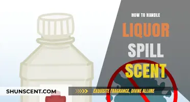Effective Tips to Eliminate Lingering Liquor Spill Odors Fast