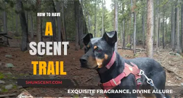 Mastering the Art of a Captivating Scent Trail: Tips and Tricks