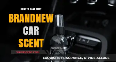 Revive Your Ride: Secrets to Restoring That Brand-New Car Scent