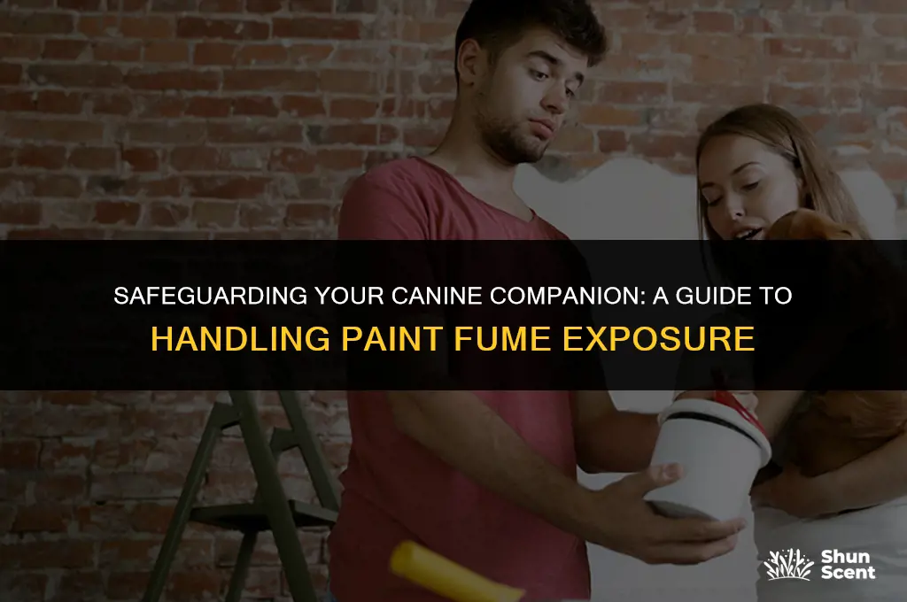 how to help a dog that smelled paiont fumes