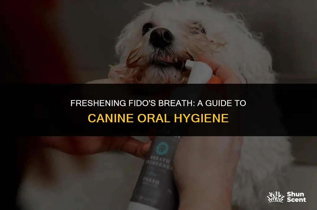 how to help dog breath smell better