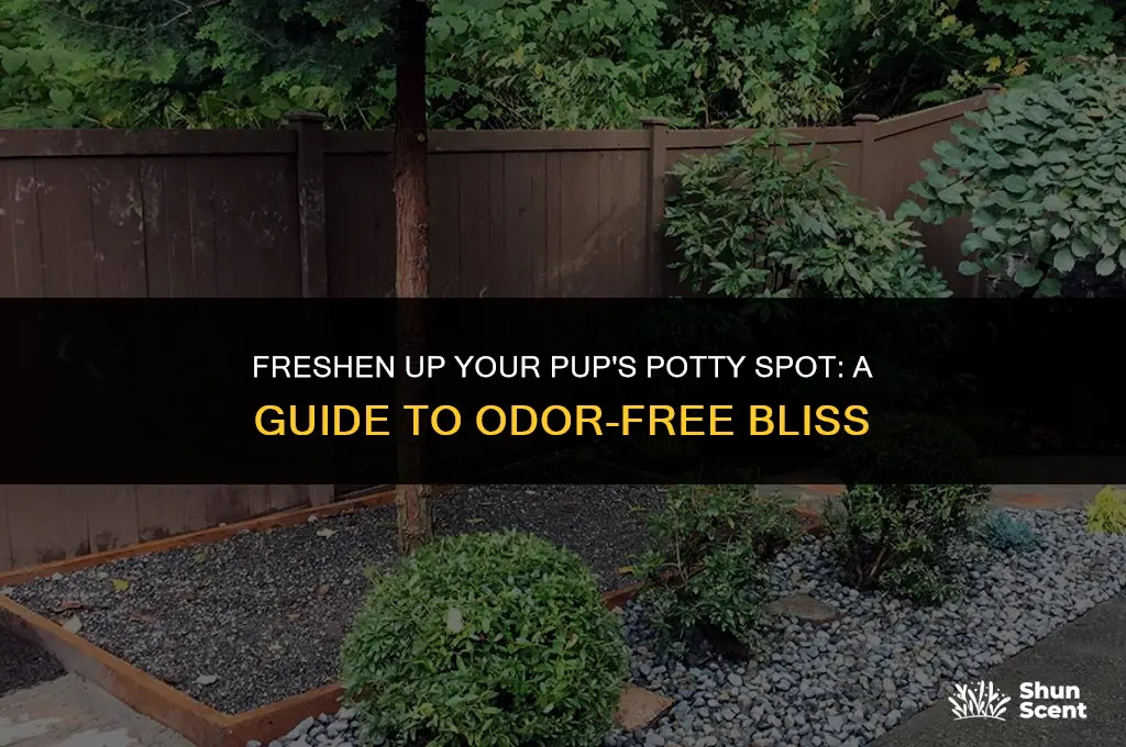 how to help my dogs pee pee area not smell