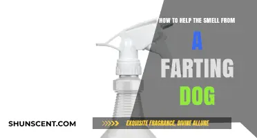 Freshen Up Your Home: Tips to Tackle That Pesky Pupil Odor