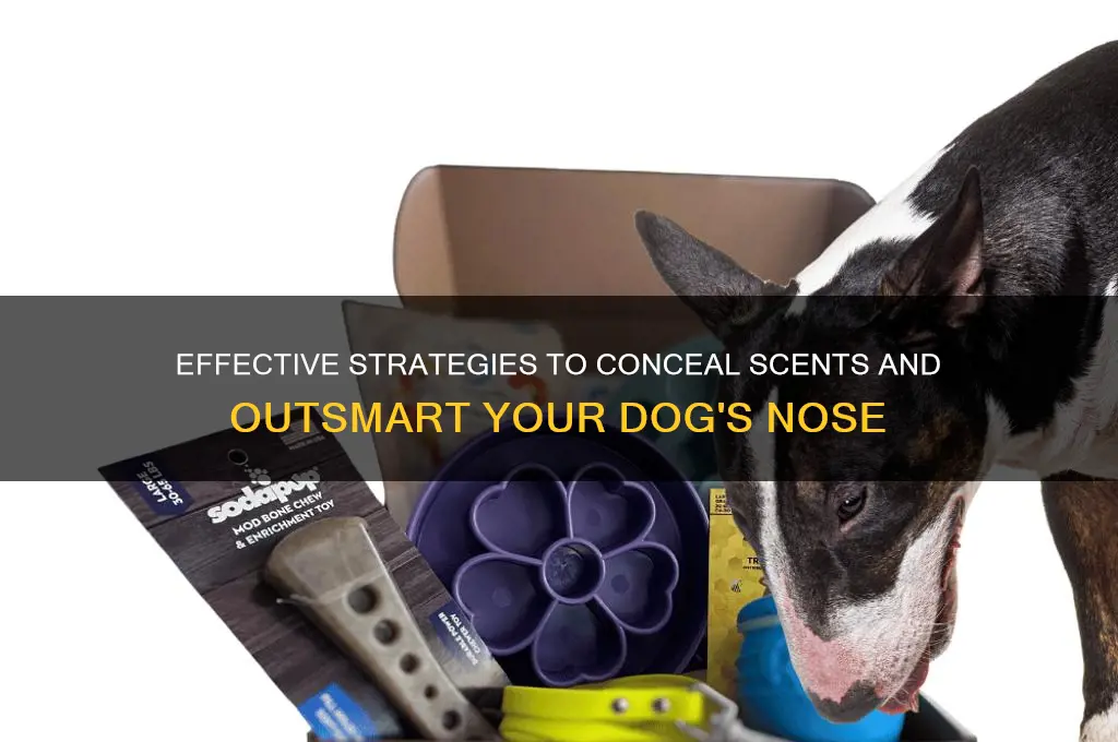 how to hide a scent from a dog