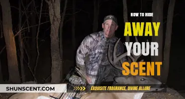 Mastering Stealth: Effective Techniques to Conceal Your Scent Naturally