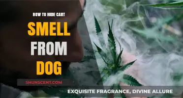 Effective Ways to Conceal Cart Smell from Your Canine Companion