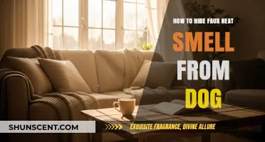 Concealing Faux Heat Smells: A Guide for Dog Owners