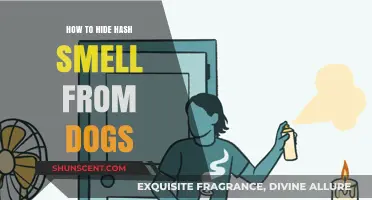 Effective Ways to Mask Hash Smell from Canine Companions